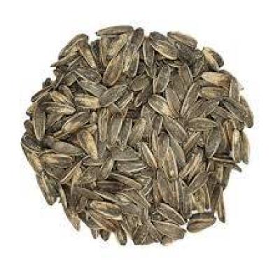 تخمه کانادایی لوکس فله