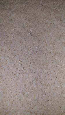 برنج سرلاشه فریدونکنار